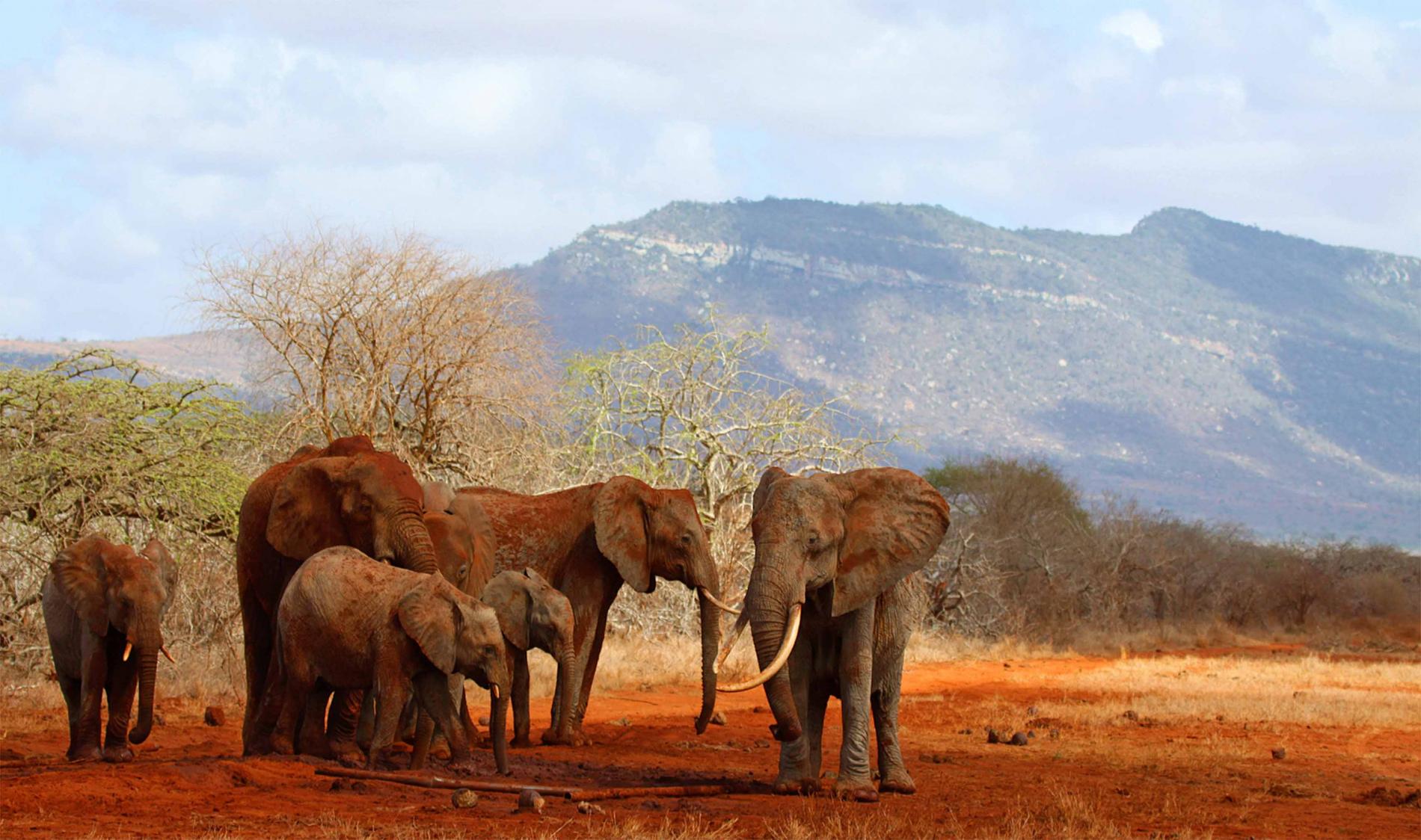 1004_ClimatePartner_21_Kenya